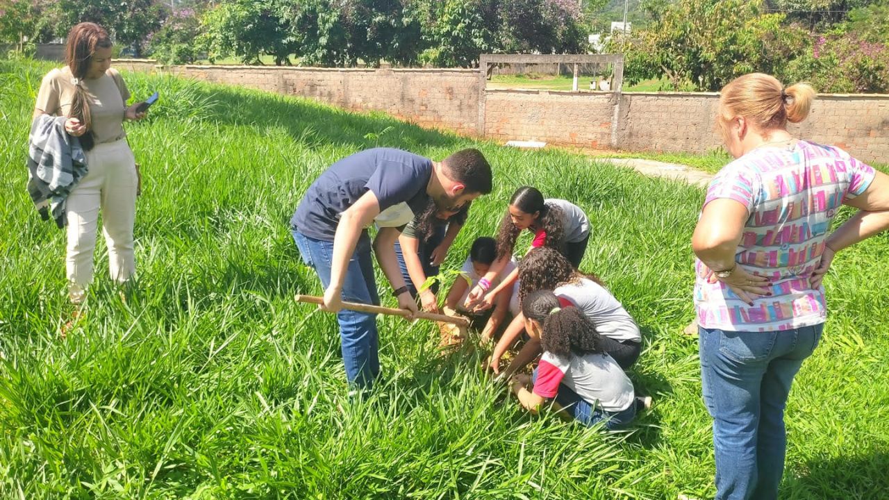 Alunos do MAMP participam do plantio de mudas de árvores nativas