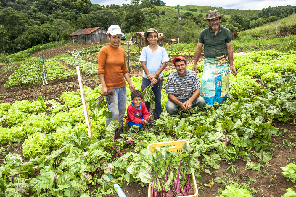 Governo de Minas incentiva práticas sustentáveis na agricultura familiar para garantir alimentação saudável nas escolas