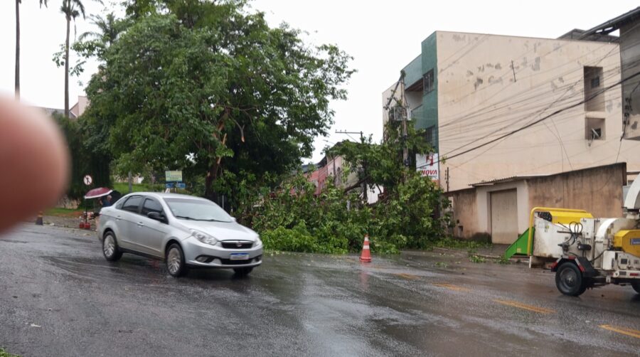 Chuva e ventos fortes derrubam árvores, e deixam bairros de Timóteo sem energia elétrica