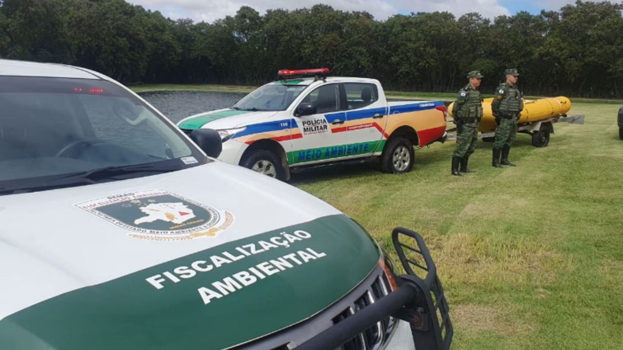 Operação Piracema em MG combate pesca ilegal e venda irregular no período reprodutivo