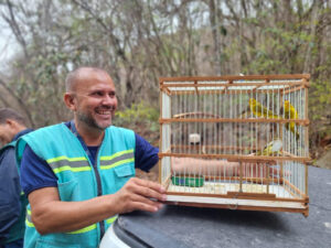 RHI Magnesita celebra a libertação de 47 pássaros na Serra das Éguas