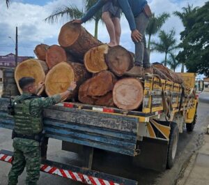 Homem é preso por transportar toras de madeira sem documentação ambiental em Almenara