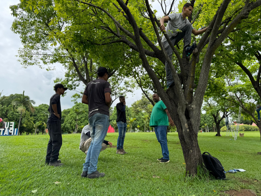 Ipatinga se prepara para viver a magia do Natal com muitas luzes