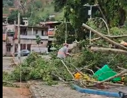 Ventos e queda de árvores deixam vários bairros sem Luz em Fabriciano. Vereador Beto Cavaleiro continua acompanhando a situação