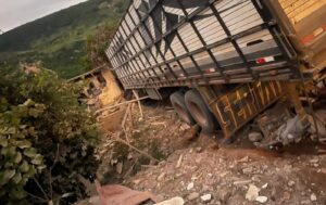 Caminhão carregado com bois bate em duas casas e deixa três moradores e o motorista feridos em Monte Formoso | Vales de Minas Gerais