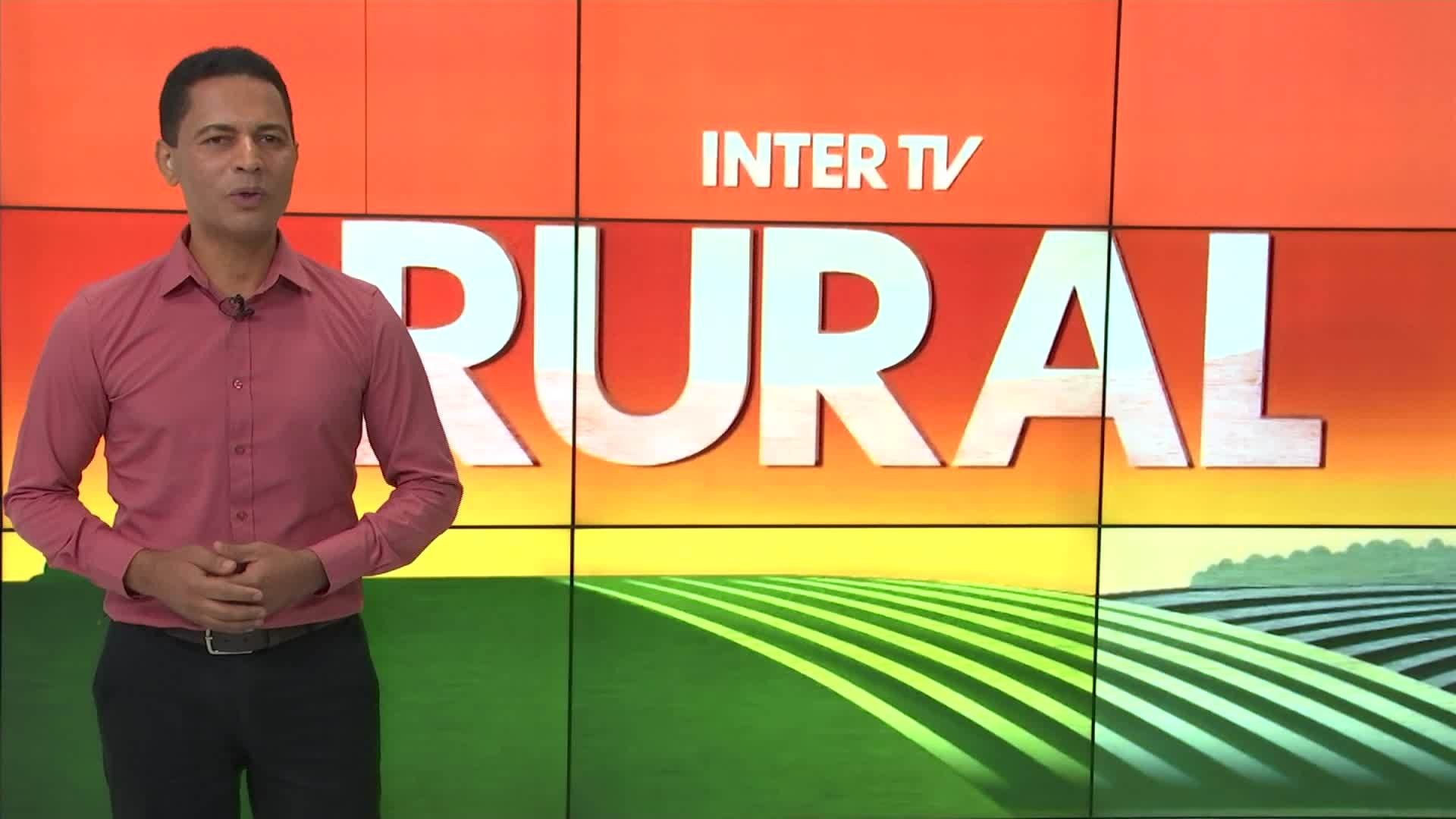 VÍDEOS: Inter TV Rural de domingo, 12 de janeiro de 2025