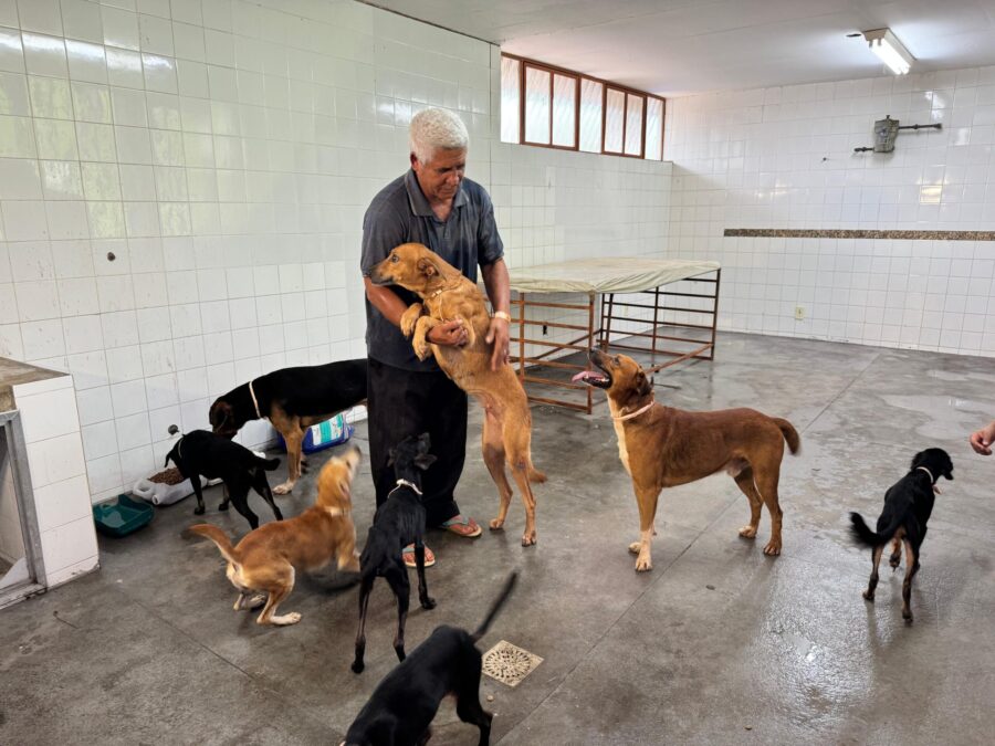 Abrigo estruturado pelo município socorre providencialmente bichos de estimação de vítimas de calamidade