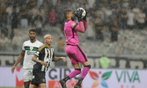 Jori, goleiro do América em jogo no Mineirão (foto: Alexandre Guzanshe/EM/DA.Press)