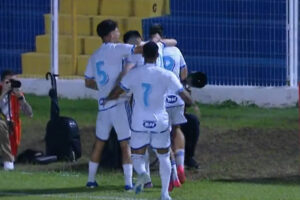 Jogadores do Cruzeiro comemorando (foto: Reprodução)