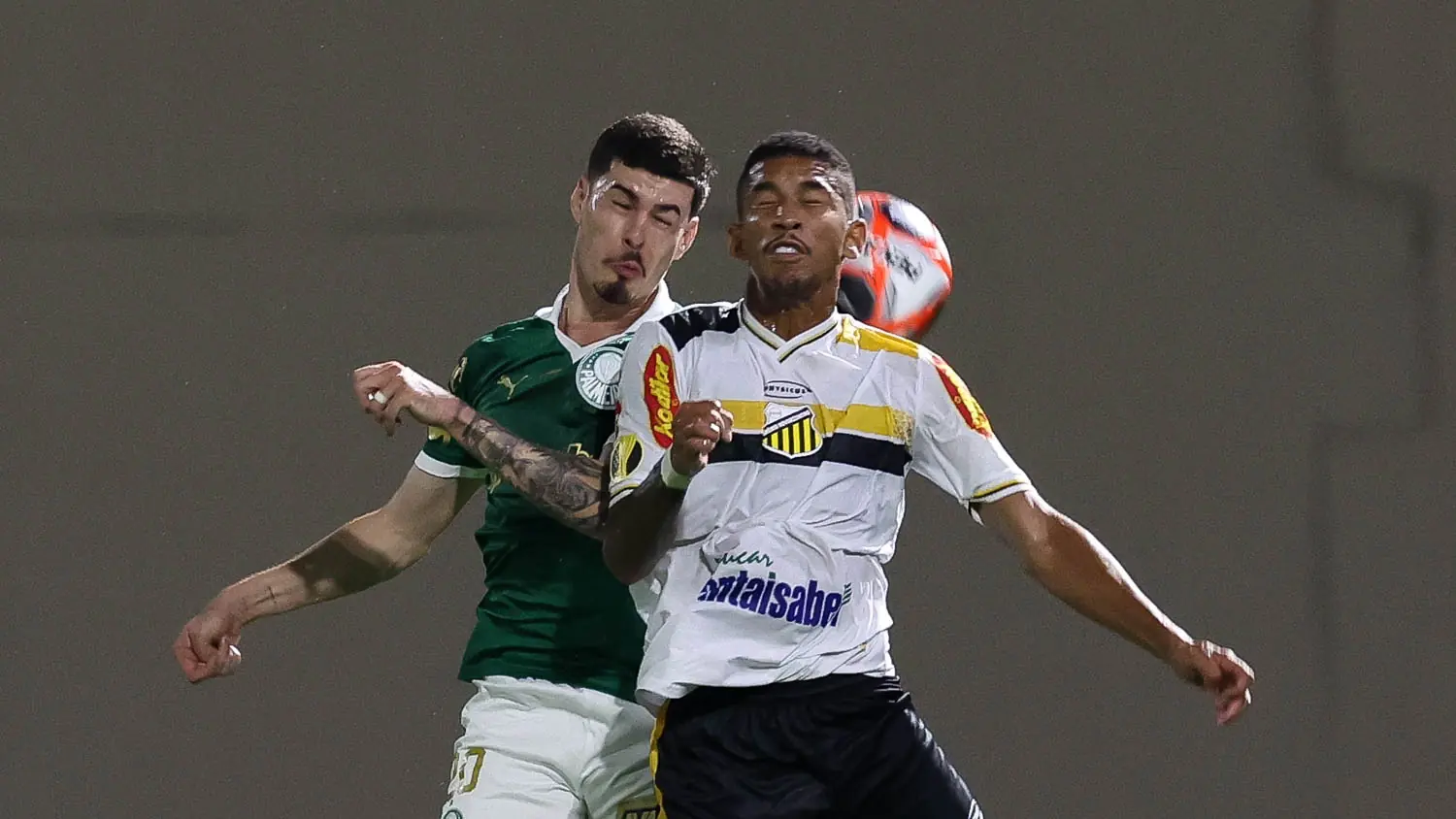 Palmeiras e Novorizontino se enfrentaram na Arena Barueri (foto: Cesar Greco/Palmeiras)