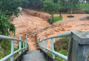 Em Dom Silvério, temporal alaga ruas, arrasta carros, destrói pontes e deixa famílias desabrigadas