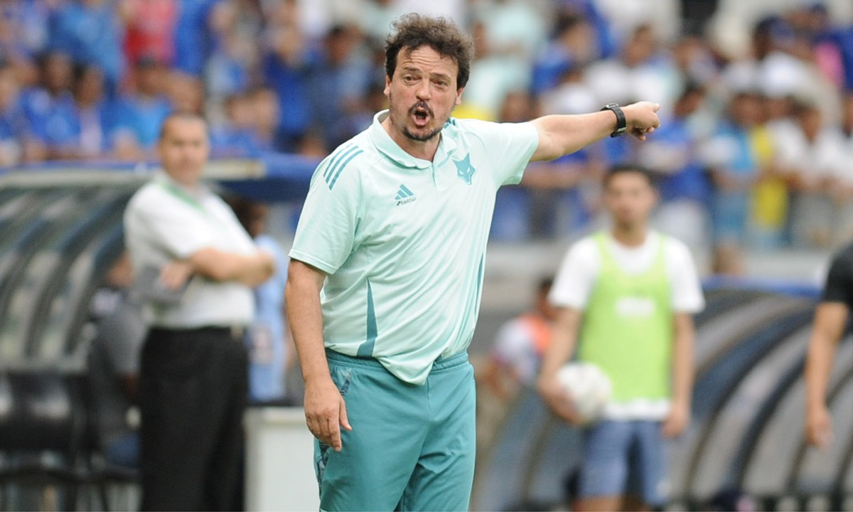 Fernando Diniz, técnico do Cruzeiro (foto: Alexandre Guzanshe/EM D.A Press)