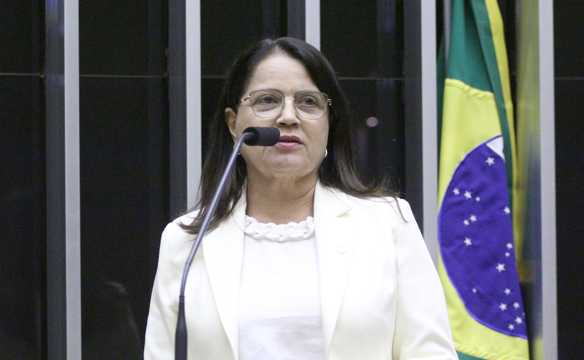 Rosângela Reis cobra Ministério da Saúde para regularização do fornecimento de insulina em Ipatinga