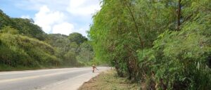 Nova 381 segue com obras de melhorias na rodovia; confira cronograma da semana