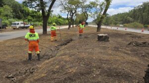 BR-381 terá Pare e Siga para manutenção; confira cronograma