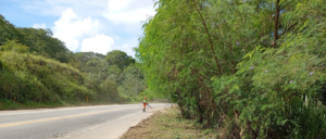 Nova 381 Segue Com Obras De Melhorias Na Rodovia; Confira Cronograma Da Semana