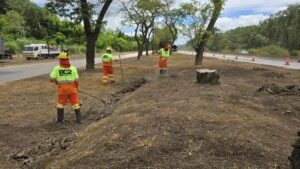 BR-381: Sistema 'Pare e Siga' até domingo (16)