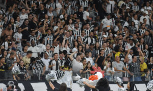 Torcedores do Atlético no Mineirão (foto: Alexandre Guzanshe/EM/DA.Press)