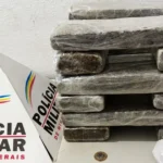 Operação da PM apreende cerca de 15 kg de maconha em Ipatinga