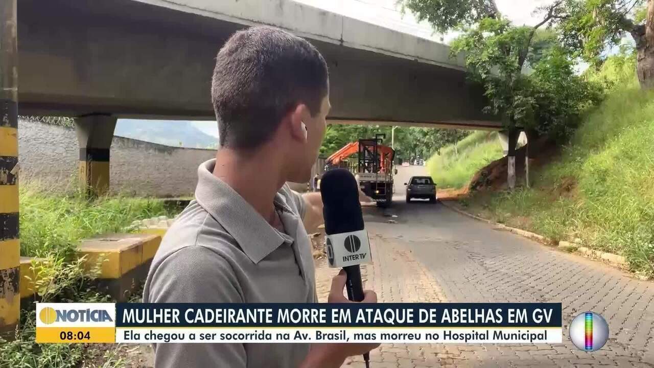 Mulher cadeirante morre após ser atacada por enxame de abelhas em Governador Valadares | Vales de Minas Gerais