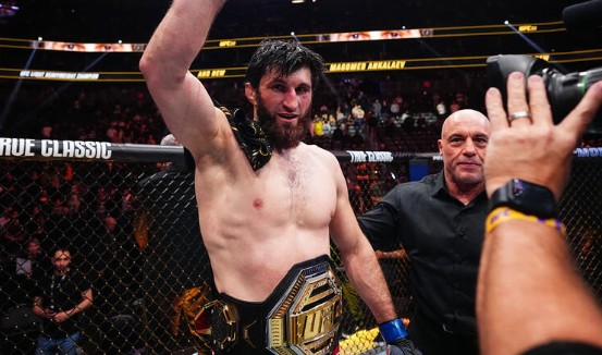 Magomed Ankalaev, campeão do UFC (foto: Jeff Bottari/Zuffa LLC)