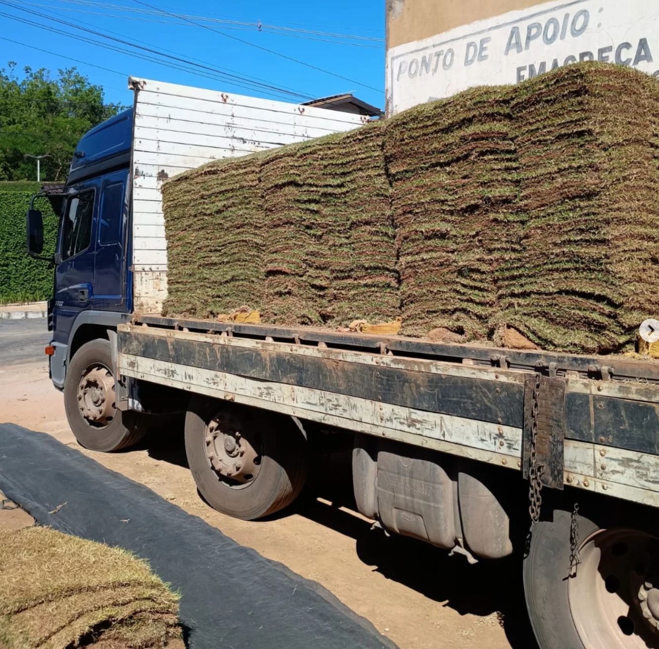 Floricultura Dias, no bairro Santa Maria em Timóteo, é vítima de estelionatários